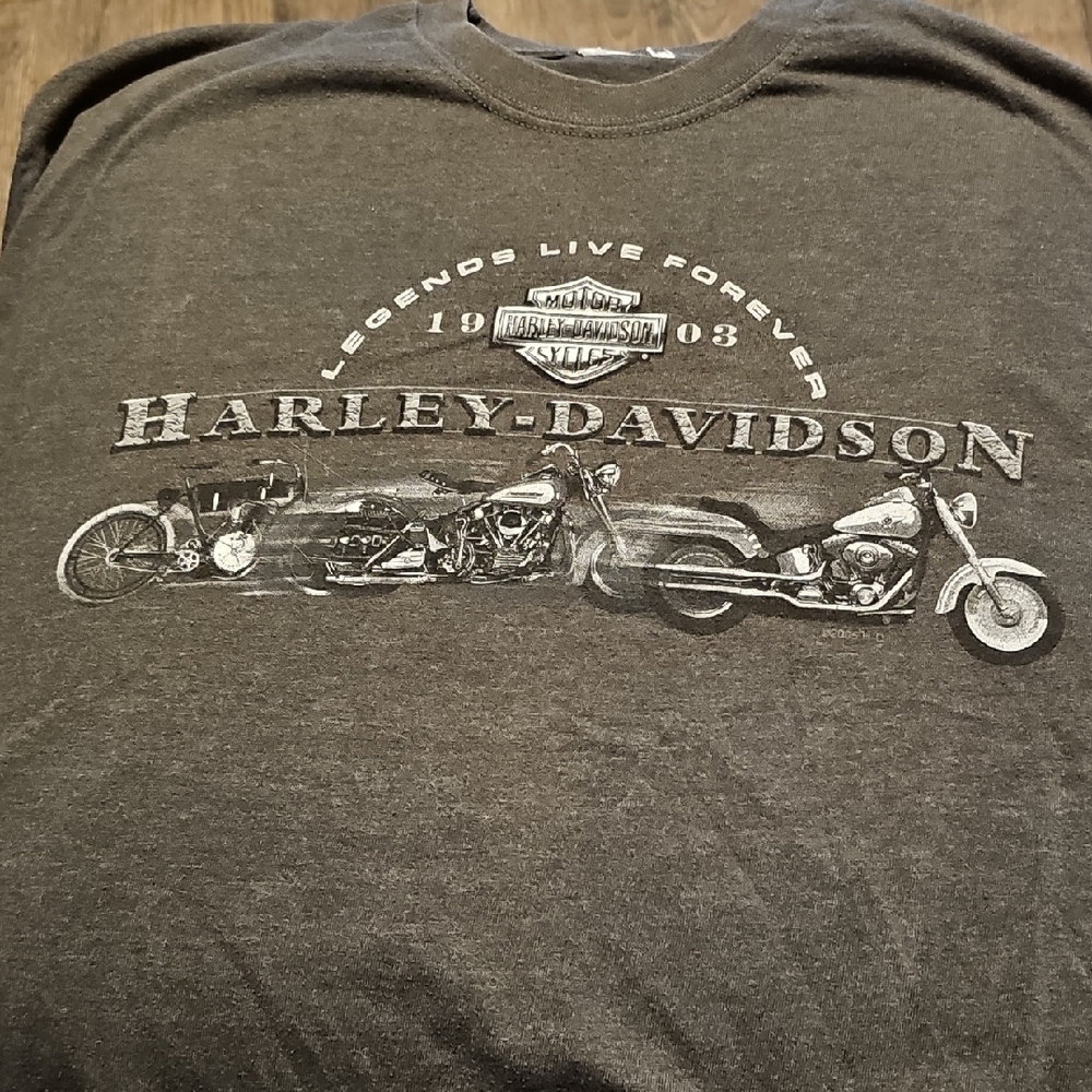 Harley-Davidson Charcoal Motorcycle Tee Shirt Indiana Medium Biker Men